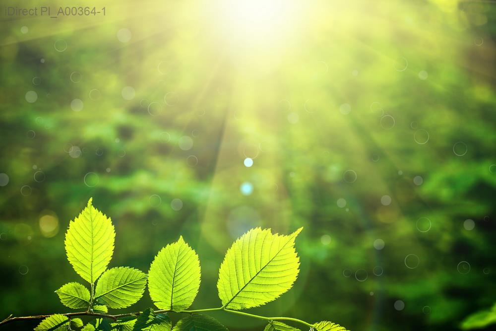 「提升心理健康的關鍵！睡眠質量全面提升攻略」